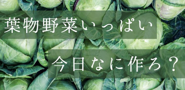 葉物野菜いっぱい今日なに作ろ？